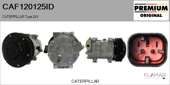 CAF120125ID