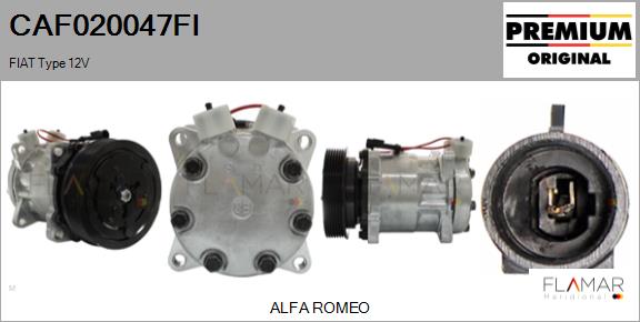 CAF020047FI