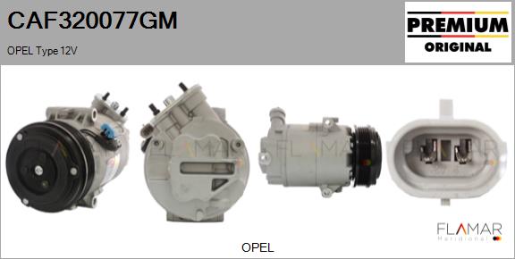 CAF320077GM
