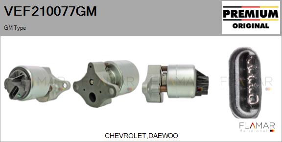 VEF210077GM