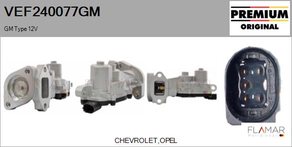 VEF240077GM