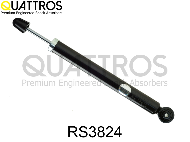 RS3824