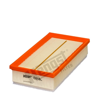 E616L