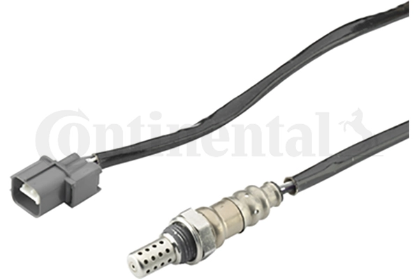 A2C59513886Z