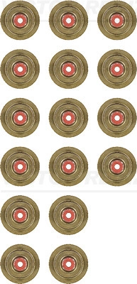 5955570