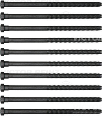 WHT005673 (10X)